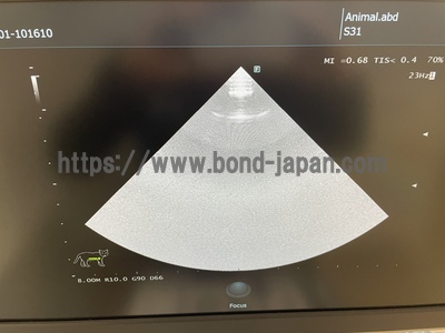 動物向け超音波画像診断装置&nbsp;|&nbsp;富士フイルムメディカル&nbsp;|&nbsp;ARIETTA 50の写真