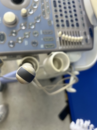 BW System&nbsp;|&nbsp;ALOKA&nbsp;|&nbsp;Prosound 6