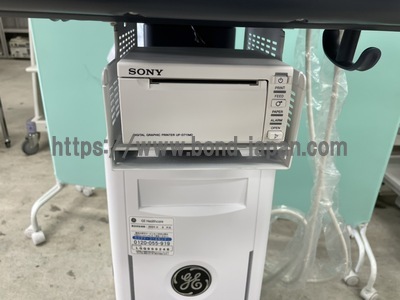 超音波診断装置/カラードプラ&nbsp;|&nbsp;GEヘルスケア・ジャパン株式会社&nbsp;|&nbsp;LOGIQ V5 Expertの写真