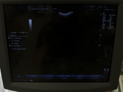 Color Doppler&nbsp;|&nbsp;GE&nbsp;|&nbsp;LOGIQ P5