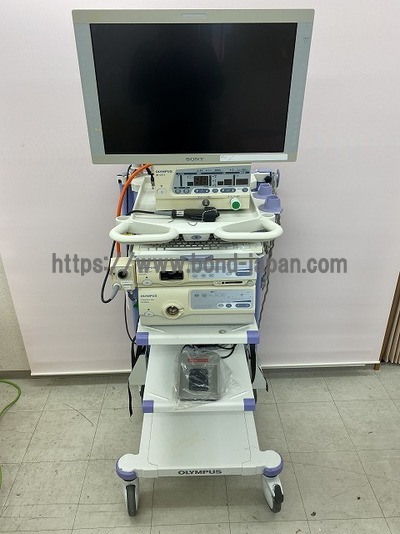 Endoscopy System Endoscopy System
