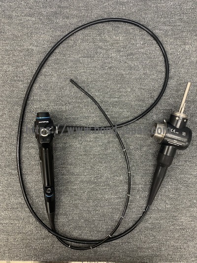 Video Bronchoscope|OLYMPUS|BF-P240
