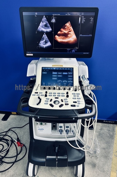 Color Doppler|GE|Vivid E95 Urtla Edition
