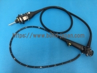 Video Gastroscope | OLYMPUS | GIF-HQ290