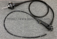 Video Gastroscope | OLYMPUS | GIF-Q260