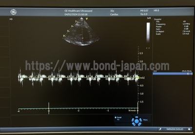 Ultrasound | GE | Vivid S60N
