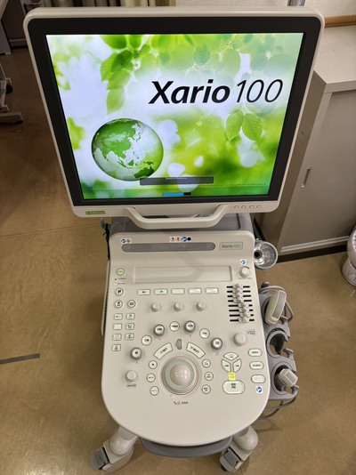 &nbsp;|&nbsp;CANON&nbsp;|&nbsp;TUS-X100S  Xario 100S