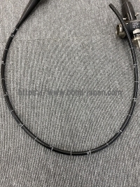 Video Gastroscope | OLYMPUS | GIF-Q260