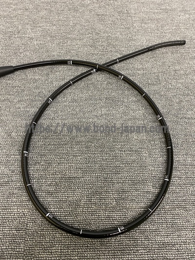 Video Gastroscope | FUJIFILM | EG-3000FP