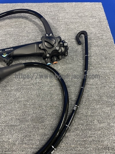 Gastroscope | FUJIFILM | EG-6600R