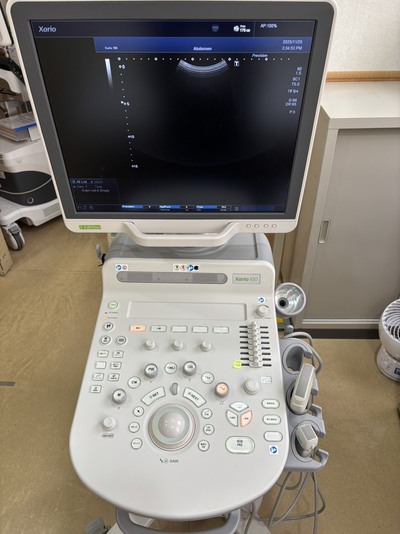 &nbsp;|&nbsp;CANON&nbsp;|&nbsp;TUS-X100S  Xario 100S