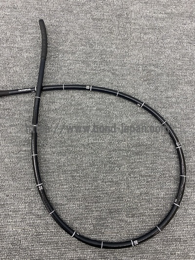 Video Gastroscope&nbsp;|&nbsp;OLYMPUS&nbsp;|&nbsp;GIF-H290