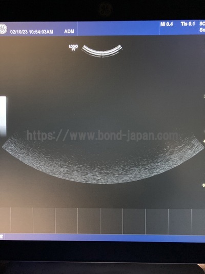 超音波診断装置 | GEヘルスケア・ジャパン株式会社 | LOGIQ P7 Vetの写真