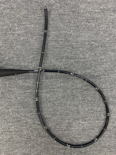 Video Gastroscope | OLYMPUS | GIF-PQ260