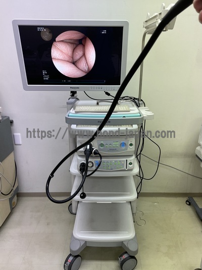 Endoscopy System | FUJIFILM | EPX-4450HD