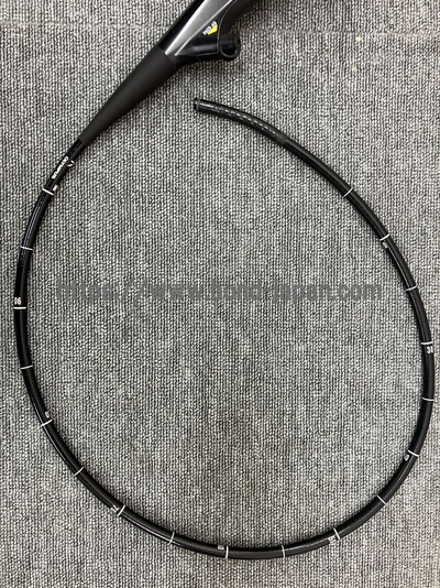 Video Gastroscope | OLYMPUS | GIF-Q260