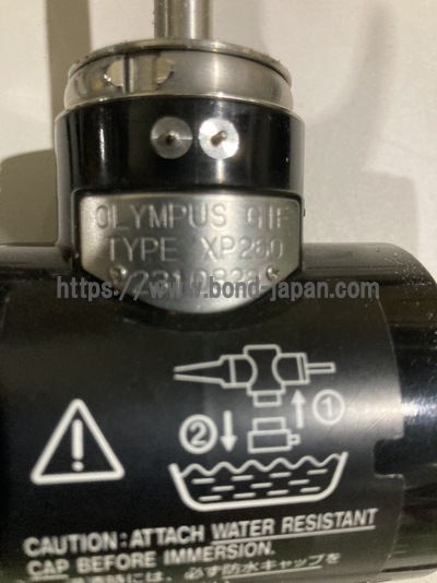 Video Gastroscope | OLYMPUS | GIF-XP260