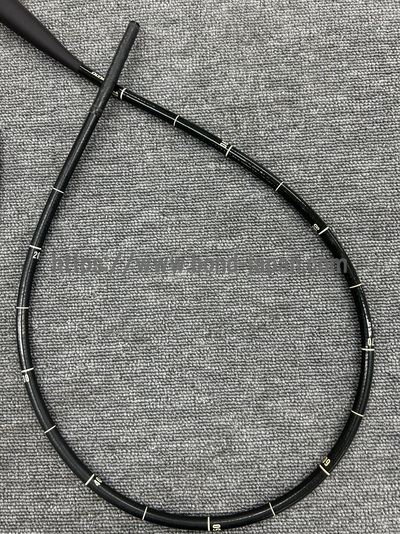 Video Gastroscope | OLYMPUS | GIF-XQ260