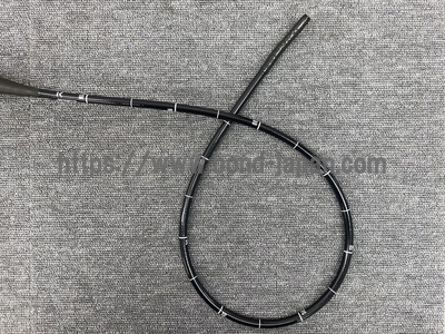 Video Gastroscope | OLYMPUS | GIF-H170