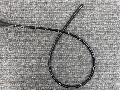 Video Gastroscope&nbsp;|&nbsp;OLYMPUS&nbsp;|&nbsp;GIF-H170