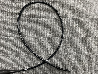 Video Gastroscope | OLYMPUS | GIF-PQ260