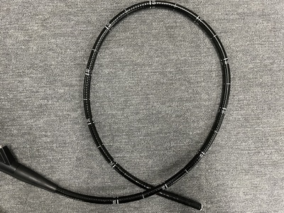 Colonoscope | FUJIFILM | EC-L590WM