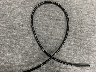 Colonoscope | FUJIFILM | EC-L590WM