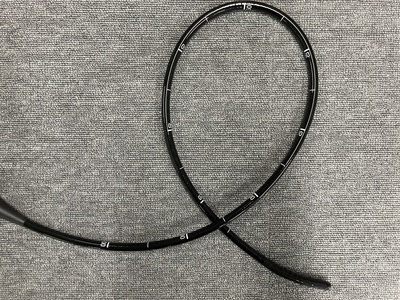 Video Gastroscope | FUJIFILM | EG-L600ZW