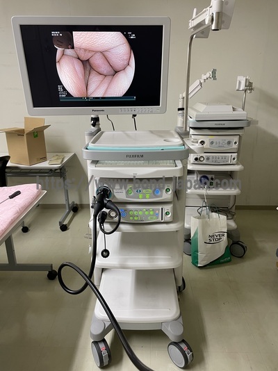 Endoscopy System | FUJIFILM | EPX-4450HD