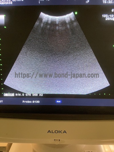  | HITACHI | Prosound Alpha 10