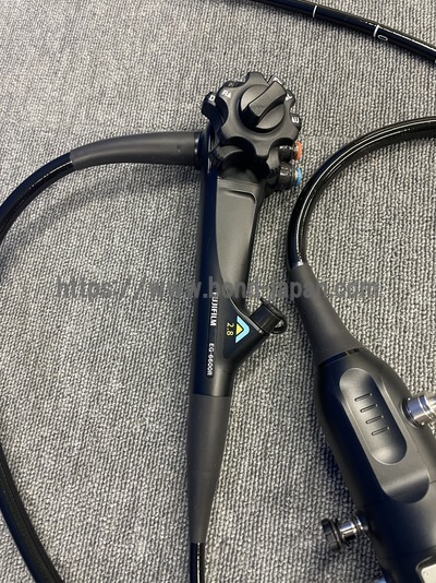 Gastroscope | FUJIFILM | EG-6600R