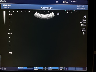  | CANON | TUS-X100S  Xario 100S