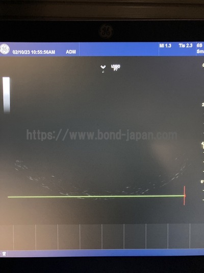 超音波診断装置 | GEヘルスケア・ジャパン株式会社 | LOGIQ P7 Vetの写真