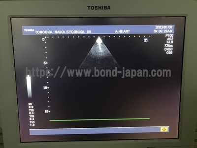 Color Doppler | CANON | SSA-580A Nemio XG