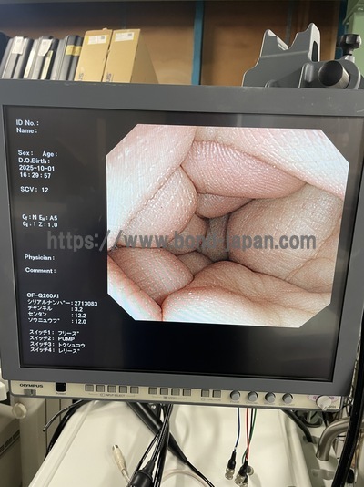 Video Colonoscope | OLYMPUS | CF-Q260AI