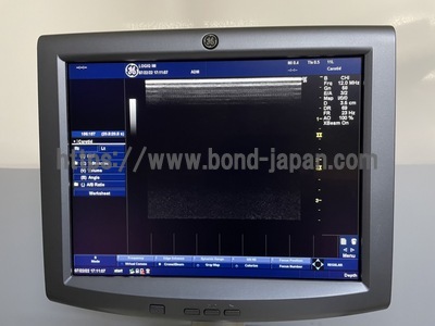 超音波診断装置/カラードプラ | GEヘルスケア・ジャパン株式会社 | LOGIQ iMの写真