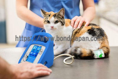 BS動物用血圧計 | 株式会社ビットストロング | BS-ABP303の写真